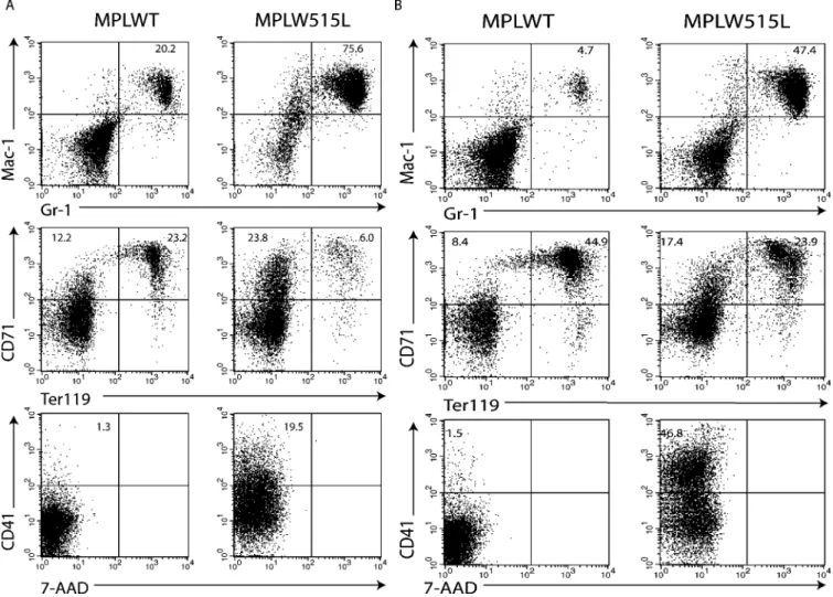 Figure 5. Flow Cytometry Analysis of BM and Spleen in Mice Transduced with MPLW515L and MPLWT