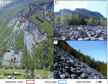 Fig. 1. (A). The study site is located in the Saas Valley near Saas Balen. (B). Sketch map of the study site and the position of the 32 trees sampled for analysis.