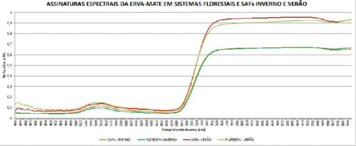 FIGURA  3 –  Respostas  espectrais  de  folhas  de Ilex  paraguariensis  na mesorregião  serrana  de  Santa  Catarina  nos  ecossistemas  de  Sistema Agroflorestal  (SAF)  e  na  Floresta  Ombrófila  Mista  secundária  (FS)  nos períodos  sazonais  de inve