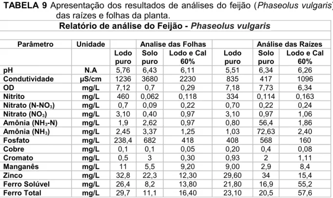 TABELA 9 Apresentação dos resultados de análises do feijão (Phaseolus vulgaris)  das raízes e folhas da planta.