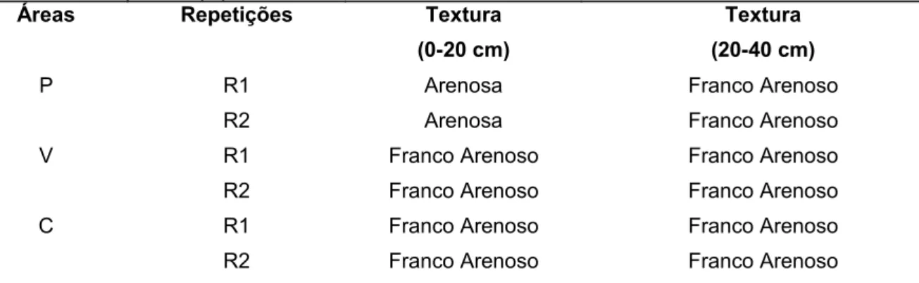 TABELA 1  Classificação textural dos solos nas áreas de Pastagem (P), Vegetação  (V) e  Capoeira (C).