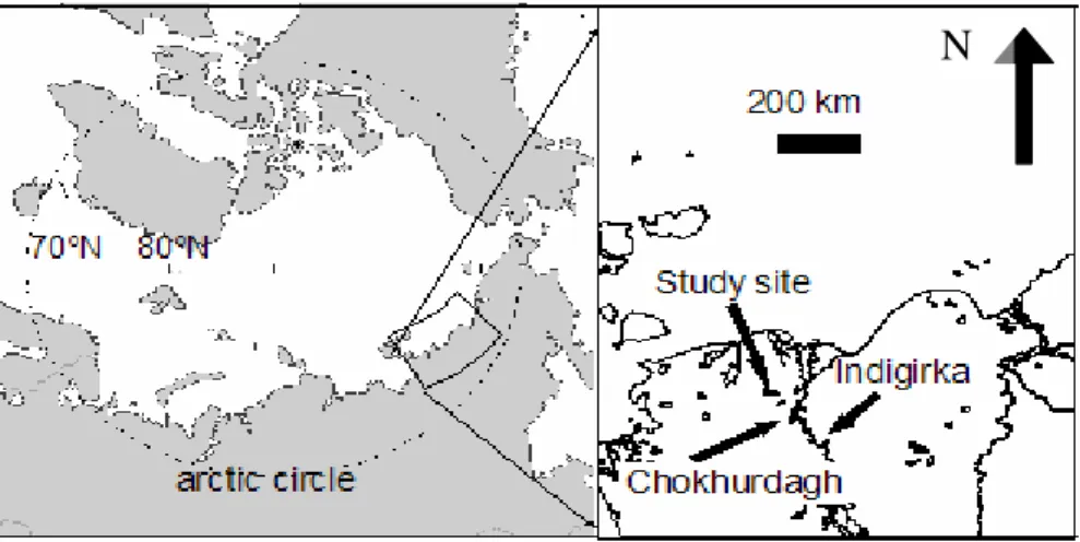Fig. 1. Location of the study site, Kytalyk Reserve, NE Siberia (modified after Van Huissteden et al., 2006a).