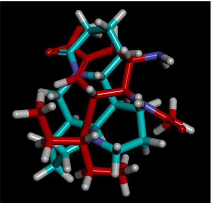 Figure 7.  Stereostructures overlay of OS and matrine.  (The OS was labeled as red and matrine as green).