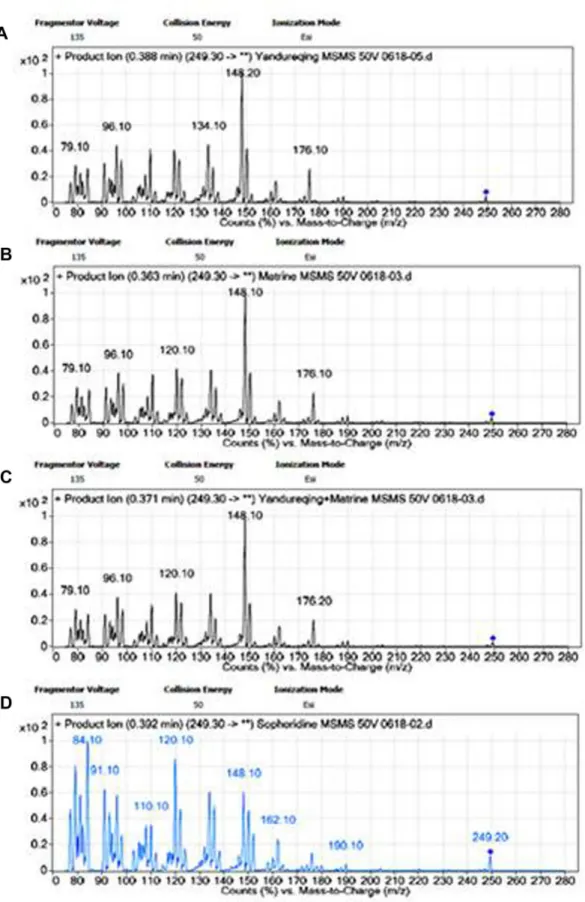 Figure  4.    MS/MS  spectra  of  four  samples.    A.  chloroform  extraction,  B.  matrine,  C