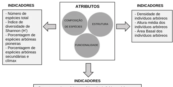 FIGURA 1.  Esquema  com  atributos  e  indicadores  avaliados  no  processo  de restauração  ecológica  com  8  anos  de  implantação  no  sul  de  Minas Gerais.