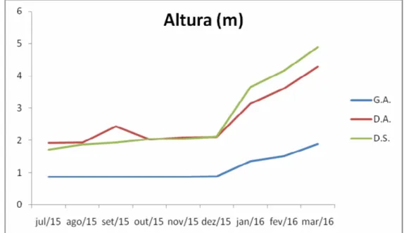 FIGURA  1:  Altura  média  das  espécies  Guadua  angustifolia  (G.A.),  Dendrocalamus  strictus  (D.S.)  e  Dendrocalamus  asper  (D.A) Goiânia, agosto de 2016