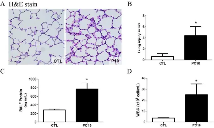 Fig 1. The severity of lung injury was assessed after high-pressure ventilation for 4 hours in each rat