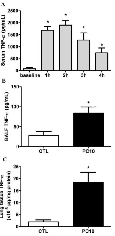 Fig 2. The TNF-α cytokine expression in animals exposed to VILI. A: in serum, B: in BALF, C: in lung tissue homogenization