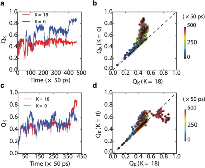 Fig 7. Transition paths for the formation of the first(folded or misfolded) domain in tandem SH3 dimers