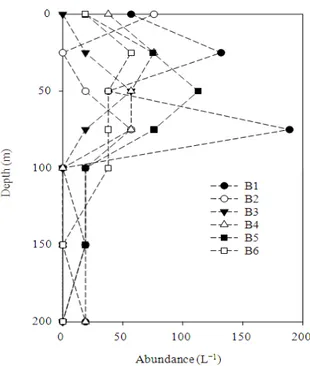 Fig. 2. Vertical distribution tintinnids abundance (ind L −1 ) 