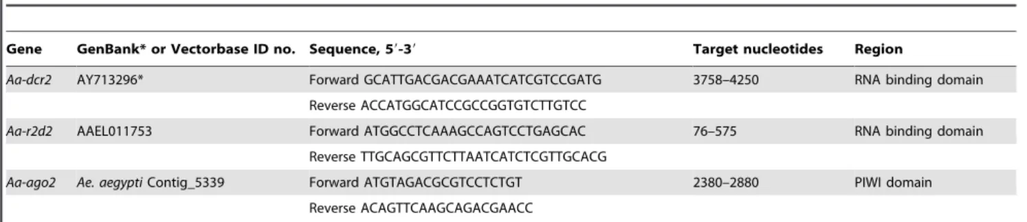 Table 1. Primers used for the generation of dsRNAs targeting RNAi pathway genes.