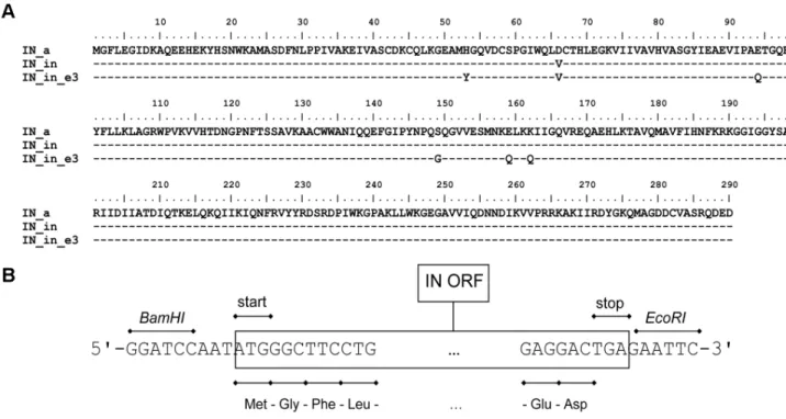 Figure 1. Sequence and structure of the synthetic IN genes. Amino acid sequences of the consensus HIV-1 clade A integrase (IN_a), its inactive variant containing mutation in the active site D64V (IN_in), and inactive variant with mutations conferring resis