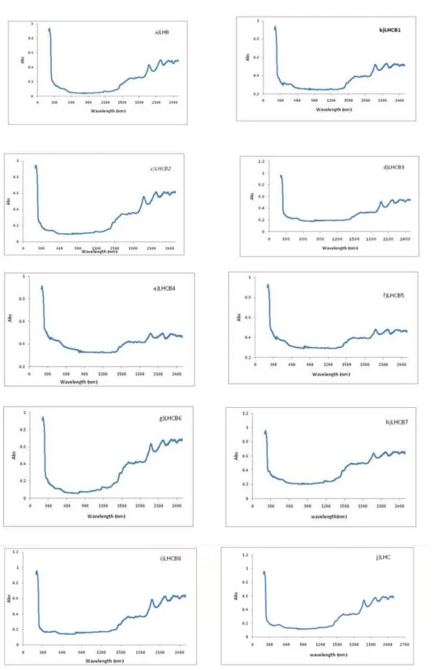 Fig. 2  UV-Vis-NIR absorption spectra observed for the grown crystals 