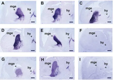 Table 2. Tissue fixation in Z7 improves the sensitivity of NoRISH.