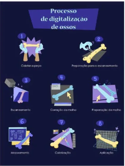 Figura 3  Infográfico “Processo de Digitalização de Ossos” Com legenda. Fonte: o Autor.