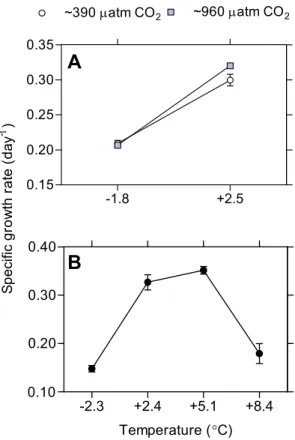 Fig. 2) and primary productivity (p &lt; 0.001; two-factor ANOVA; Fig. 3a) were significantly higher (9 and 50 %,  re-spectively) at 2.5 ◦ C compared to − 1.8 ◦ C