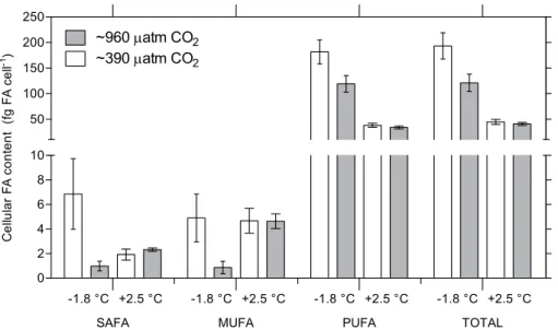 Fig. 4. Cellular fatty acid content (fg FA cell −1 ) in N. lecointei after 14 days of treatment in Experiment A