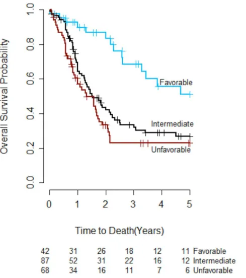 Fig 1. Overall survival by integrated genetic prognostic (IGP) profile (n = 197). The overall survival curve for patients with favorable IGP risk was significantly different from the curve for patients with unfavorable IGP risk (adjusted p &lt; 0.001)