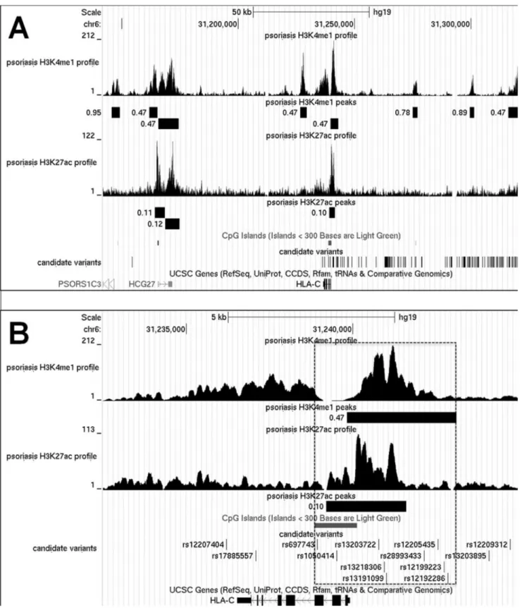 Figure 3. Epigenetic analysis of the refined PSORS1 locus in patient T-lymphocytes. A) H3K4me1 and H3K27ac ChiP-Seq peaks are shown for a representative sample