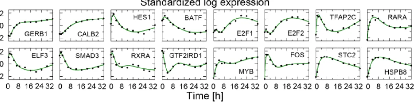 Figure 5. The single-cell transition rates in the ZR-75.1 system. Results of the six-state model for time course data in hormone-starved ZR- ZR-75.1 cells responding to estrogen stimulation are shown for comparison with the MCF-7 system of Fig