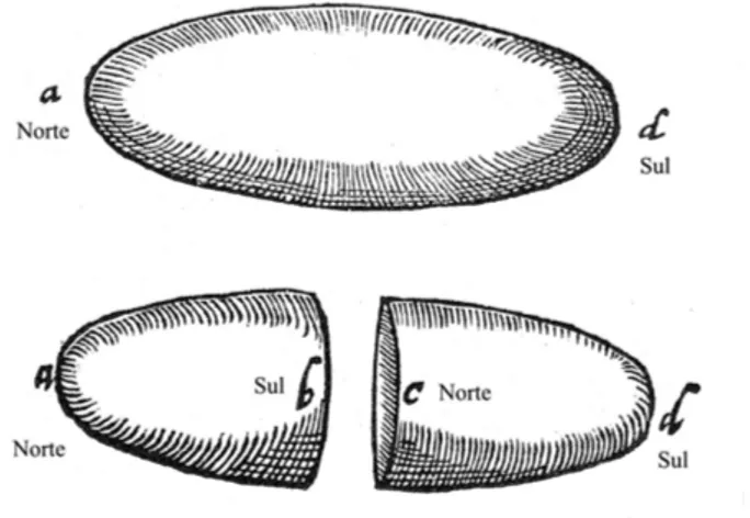 Figura 9: Petrus Peregrinus descreve o surgimento de novos polos, quando uma pedra magn´etica ´e dividida em duas.