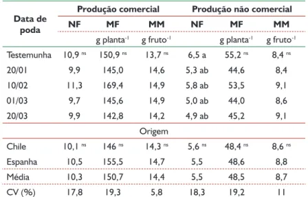 Tabela 1 - Produção comercial e não comercial de morangos San Andreas, no período precoce, em número (NF), massa  fresca (MF) e massa média (MM) de frutos a partir de mudas do Chile e da Espanha e de diferentes datas de poda de renovação 