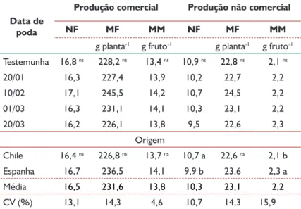 Tabela 2 - Produção comercial e não comercial de morangos San Andreas, em número (NF), massa fresca (MF)   e massa média (MM) de frutos, no período total de produção a partir de mudas do Chile e da Espanha e de diferentes datas 