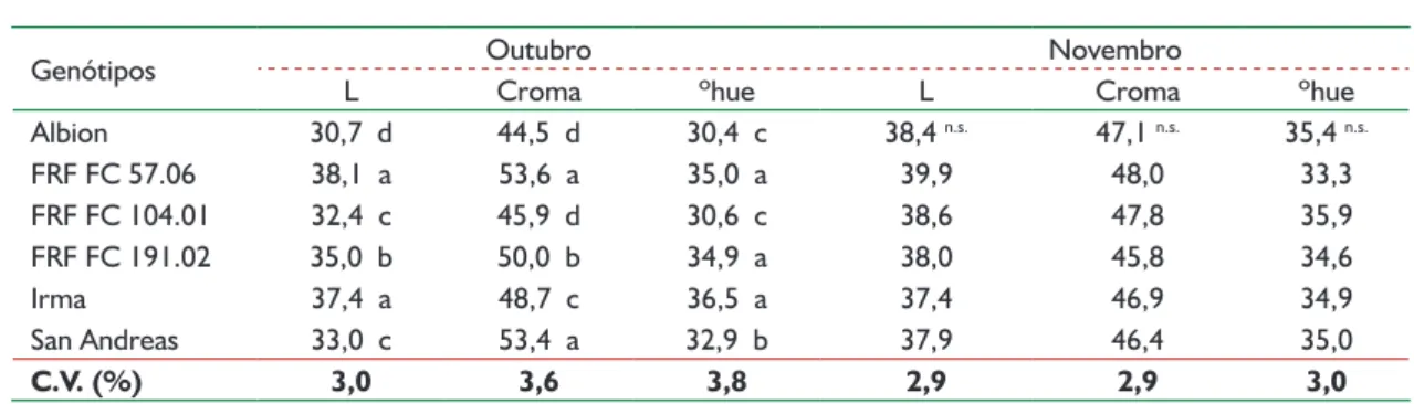 Tabela 2. Coloração da epiderme de morangos de diferentes genótipos nos meses de outubro e novembro em Farroupilha - RS.