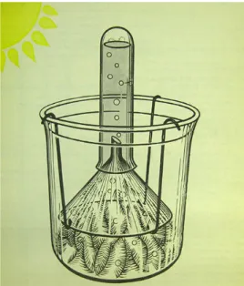 Figura 1  Ilustração de página inteira (Mello, 1974,:63). 