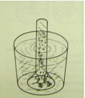 Figura 2  Ampliação de ilustração (Ramos, 1988:15).           