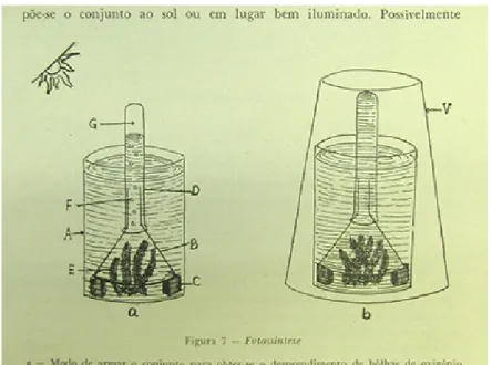 Figura 6  Ilustração que empregou elementos distintos (Santos, 1968: 133).