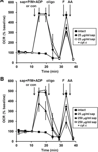Figure 2. Optimized plasma membrane permeabilization by saponin does not compromise mitochondrial outer membrane integrity