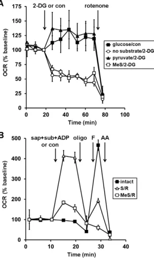 Figure 5. Methyl succinate is a poor substrate for complex II.