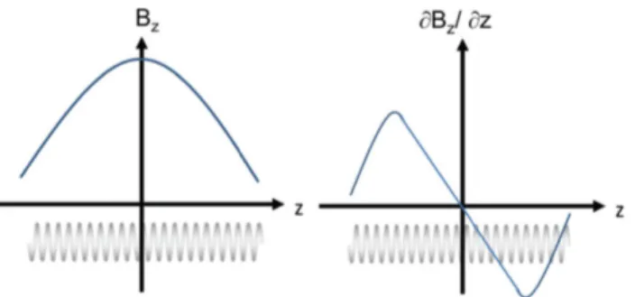 Figura 4: Magnitude do vetor B ao longo da bobina e sua derivada (proporcional `a forc¸a exercida no proj´etil)