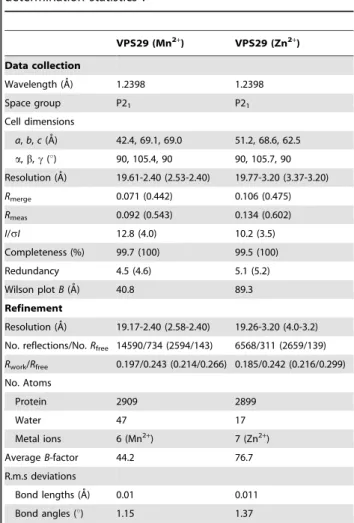 Table 1. Summary of crystallographic structure determination statistics a . VPS29 (Mn 2+ ) VPS29 (Zn 2+ ) Data collection Wavelength (A˚) 1.2398 1.2398 Space group P2 1 P2 1 Cell dimensions a, b, c (A˚) 42.4, 69.1, 69.0 51.2, 68.6, 62.5 a, b, c ( u ) 90, 1