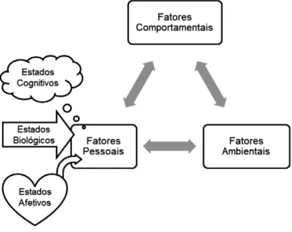 Figura 1 - Tríade do determinismo recíproco