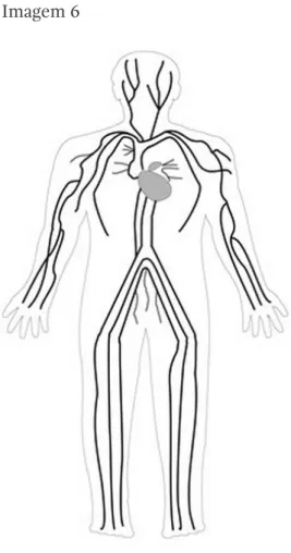 Figura 9  Coração. Portal do Professor – (MEC).  Figura 10  Imagem háptica referente ao coração