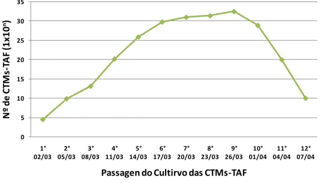Gráfico 1 - Curva de crescimento das CTMs-TAF. Neste gráfico, colônias de células-tronco foram expandidas até  atingirem a concentração 10 5  células