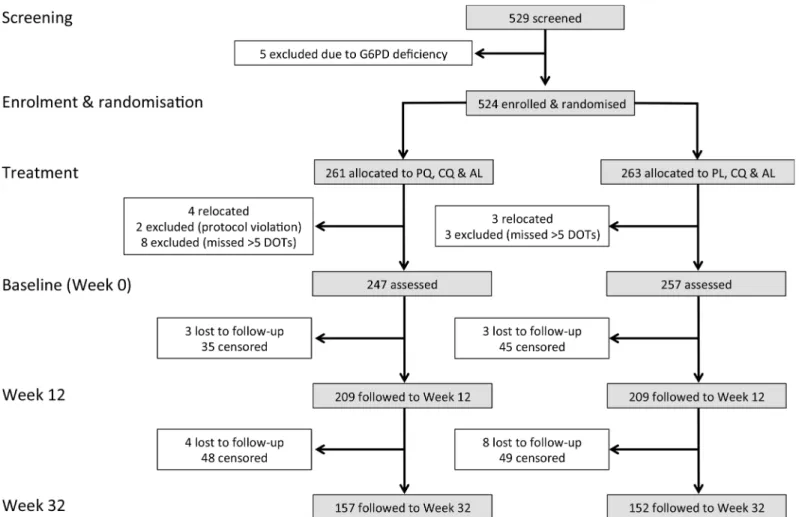 Fig 3. Consort diagram: study design, randomisation, and retention of study participants during follow-up