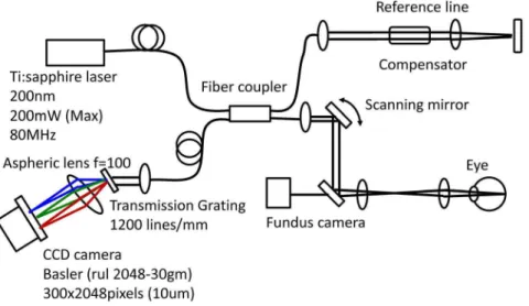 Fig. 2 shows a diagram of the creation of the image of the optic disc obtained with the OCT instrument