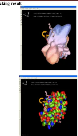 Figure   5:   Final   output   that   shows   the   Docked   prion   protein   in   “HARMONIC SURFACES”  and  in  “SOLID  SURFACES”  view 