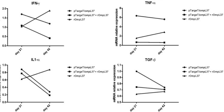 Fig 4. Relative mRNA expression levels of IFN-γ, TNF-α, IL1-α and TGF-β in pooled hamster blood samples