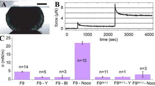 Fig. 4D summarizes all the results on our two cell lines treated or not with contractile drugs