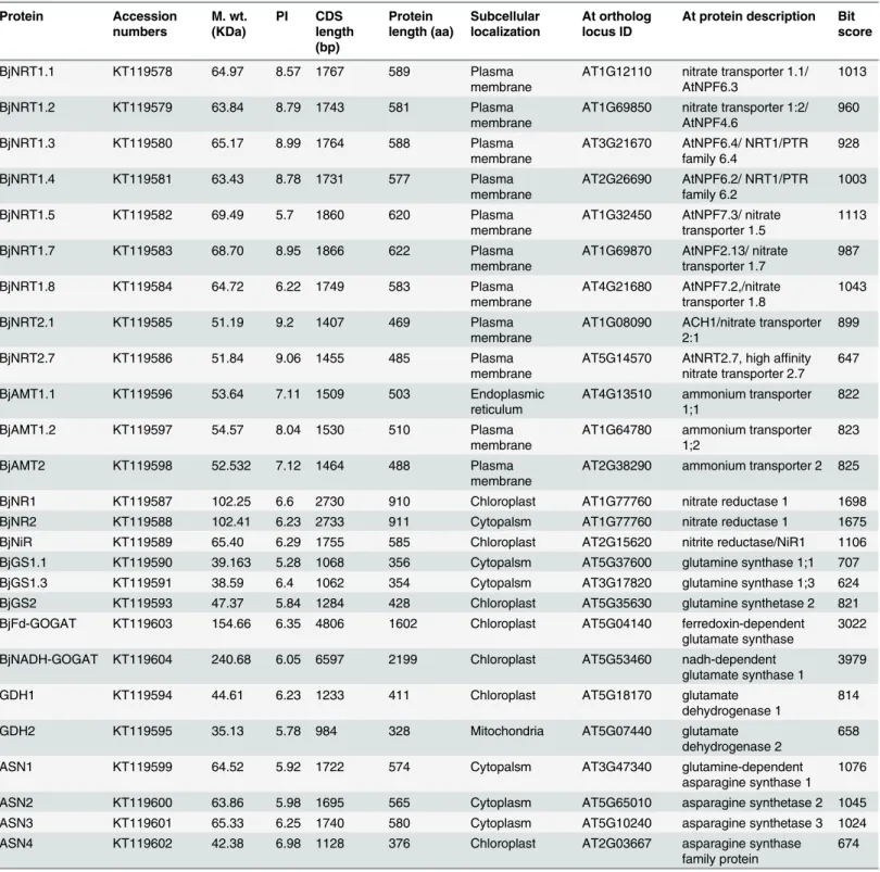 Table 1. List of proteins along with their molecular weight (M. wt.), isoelectric point (PI), CDS and protein length, subcellular localization and Arabi- Arabi-dopsis thaliana orthologs.