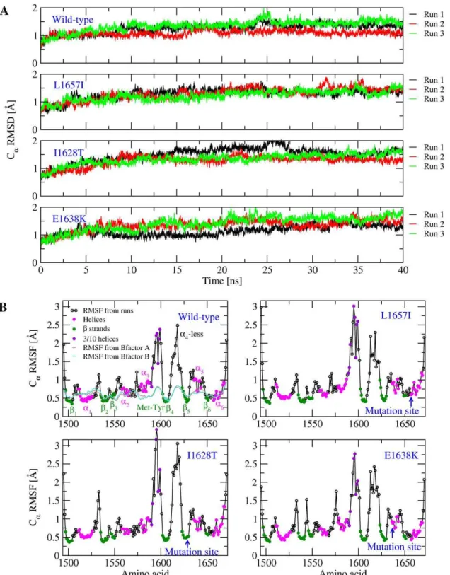 Figure 2. General analysis of the 300 K simulations. (A) Time series of the C a RMSD. (B) C a RMSF calculated from the 300-K simulations