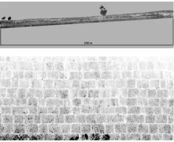 Figure 3. Point cloud of the vault (left) and intensity image  (right). 