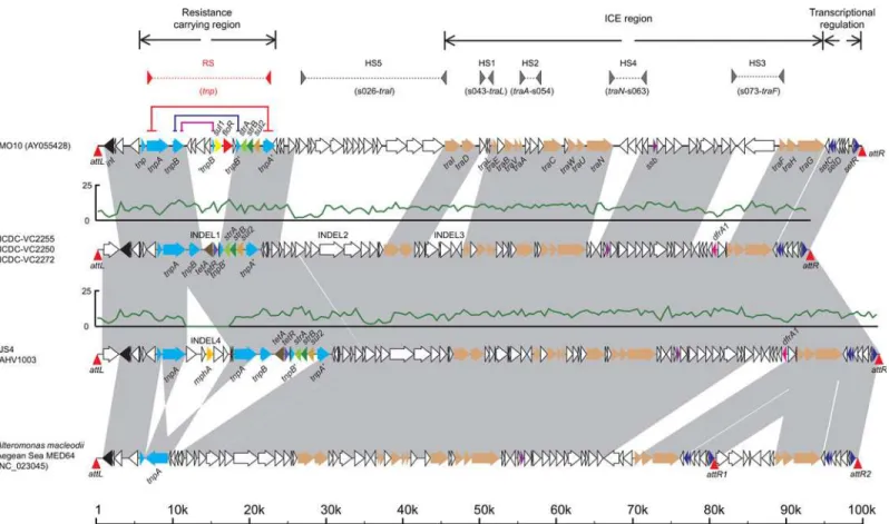 Fig 2. Sequence comparisons of SXT elements in O139 strain MO10, the 5 Chinese outbreak strains and Alteromonas macleodii Aegaean Sea MED64