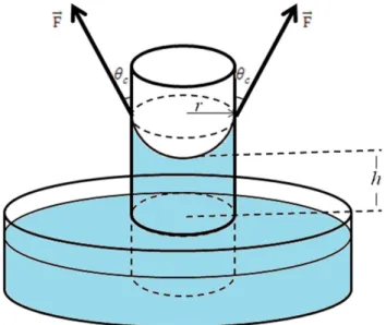 Figura 3 - Esquema representado a eleva¸c˜ ao de uma coluna l´ıquida no interior de um tubo capilar.