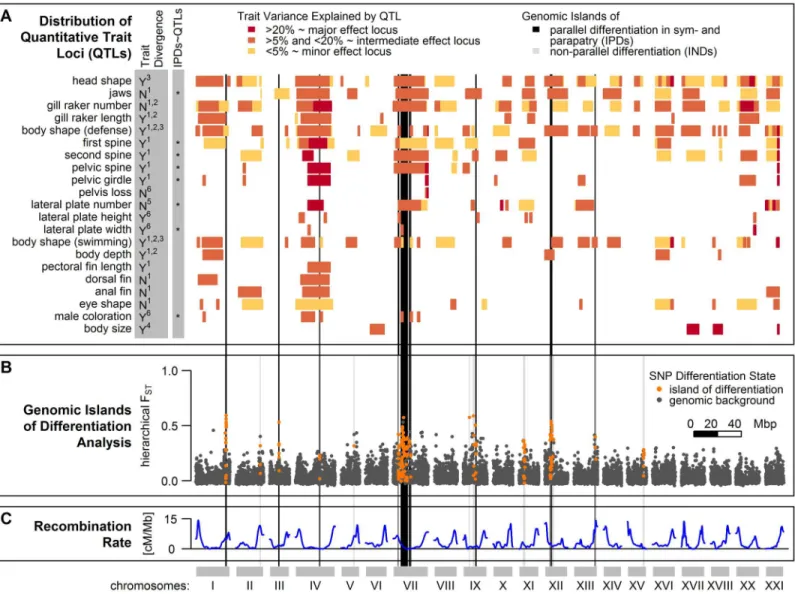 Fig 4. Genomic islands of differentiation among Lake Constance stickleback and distribution of Quantitative Trait Loci (QTL)