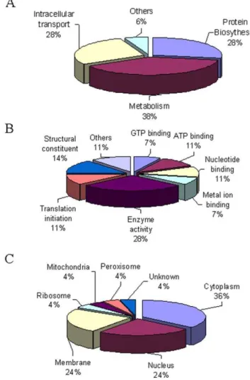 Figure 3. The interactions of GCH1 with its 6 protein partners identified by ESI/LC/MS were validated in rat liver by western blot analysis